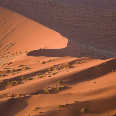 Deserto del Namib - Namibia